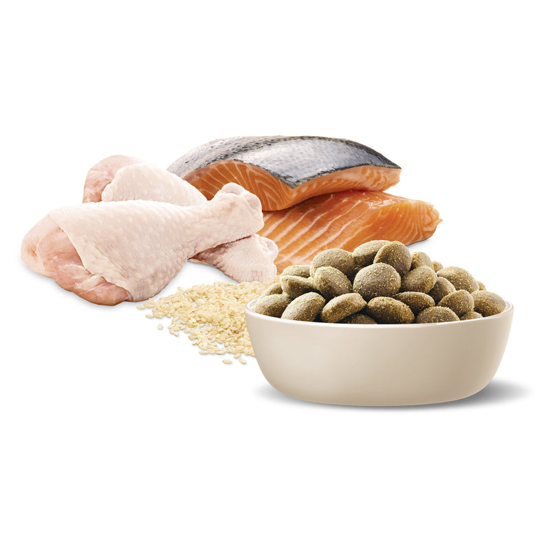 Advance Chicken and Salmon Retrievers Adult Dog Dry Food 13kg (+_+)