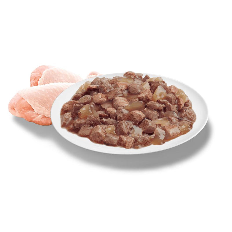 Advance Chicken and Turkey Indoor Cat Wet Food 85g