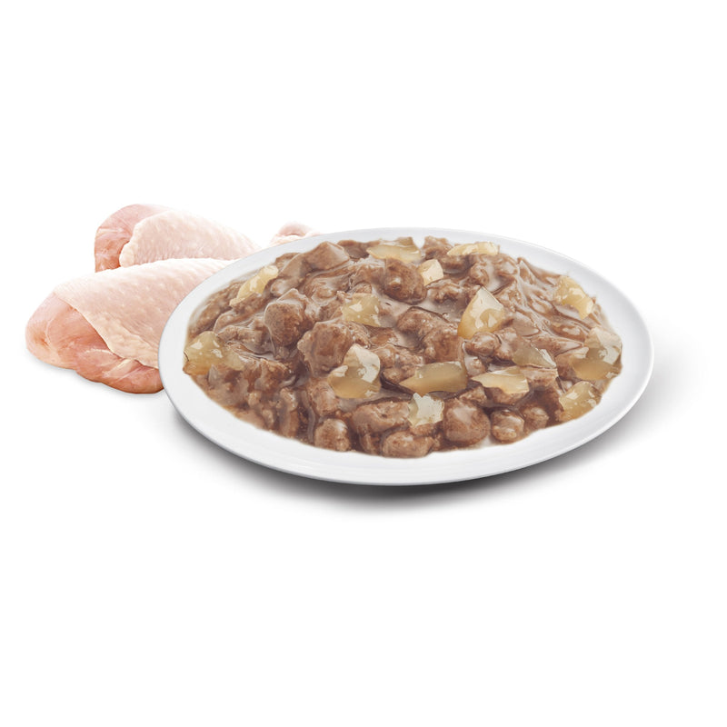 Advance Chicken in Jelly Kitten Wet Food 85g x 12 (+_+)