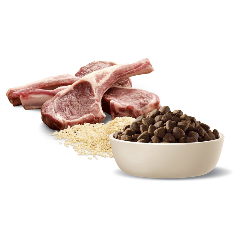 Advance Lamb and Rice Medium Breed Adult Dog Dry Food 15kg (+_+)