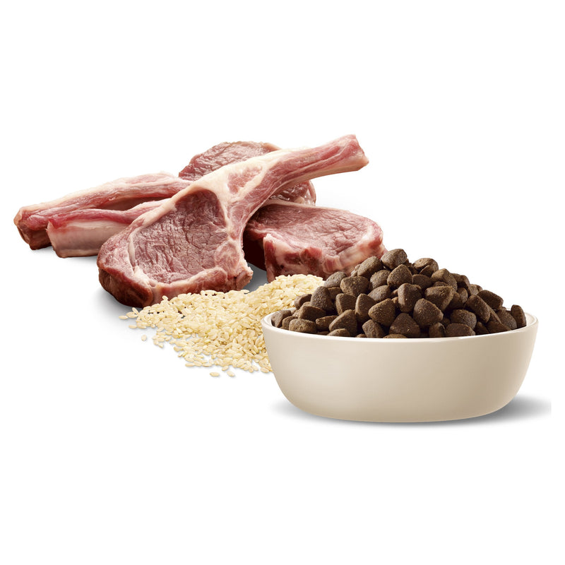 Advance Lamb and Rice Medium Breed Adult Dog Dry Food 3kg (+_+)
