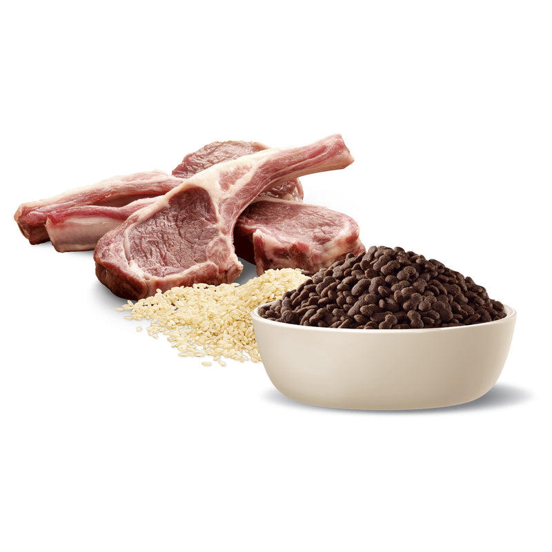 Advance Lamb and Rice Small Breed Adult Dog Dry Food 3kg (+_+)