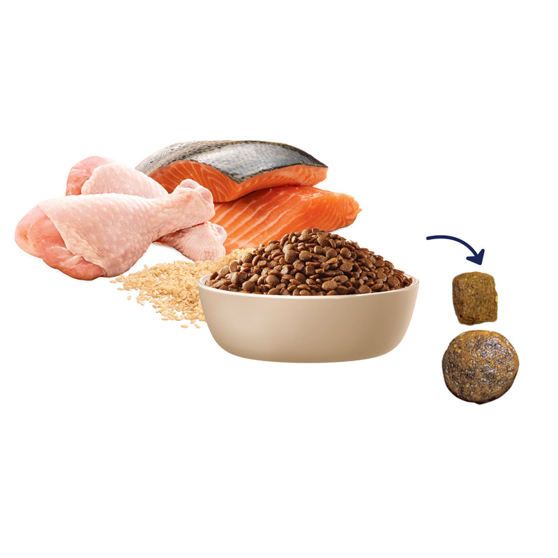 Advance Multi Cat All Ages Cat Dry Food 500g (+_+)