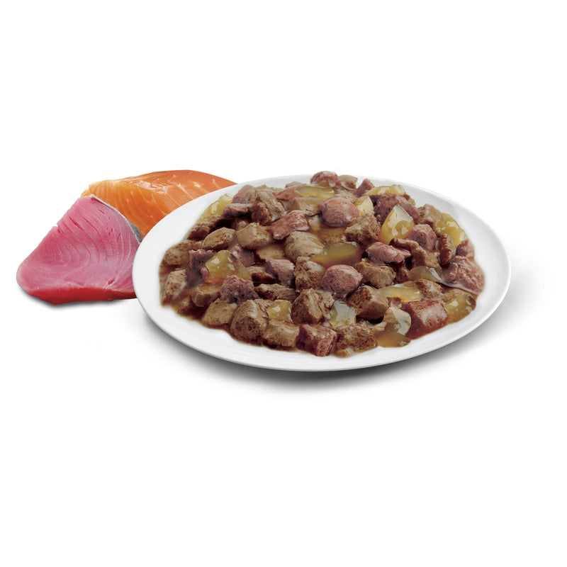 Advance Ocean Fish in Jelly Adult Cat Wet Food 85g x 12 :->>