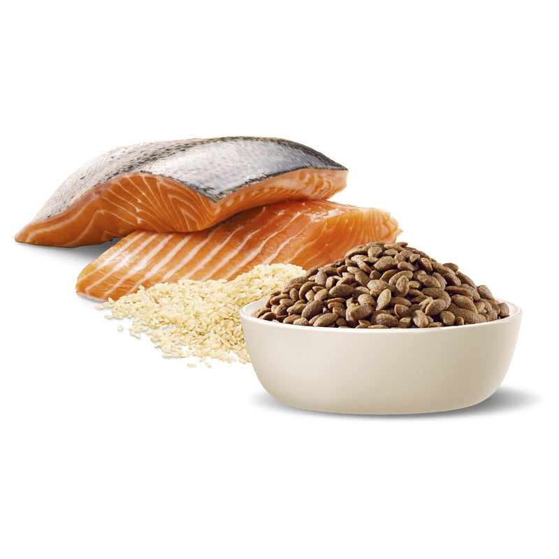 Advance Salmon and Rice Small Oodles Adult Dog Dry Food 13kg (+_+)