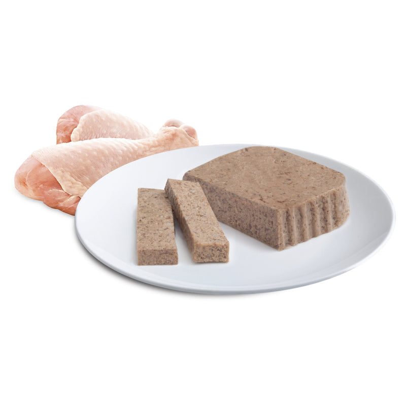 Advance Tender Chicken Delight Kitten Wet Food Food 85g x 7 (+_+)