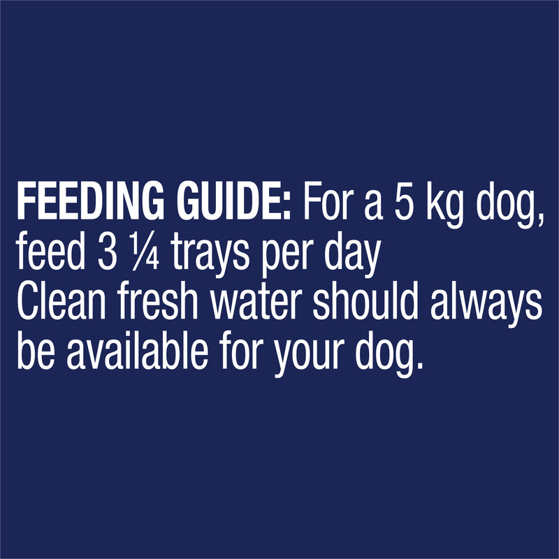 Advance Turkey All Breed Adult Dog Wet Food 100g x 12 (+_+)