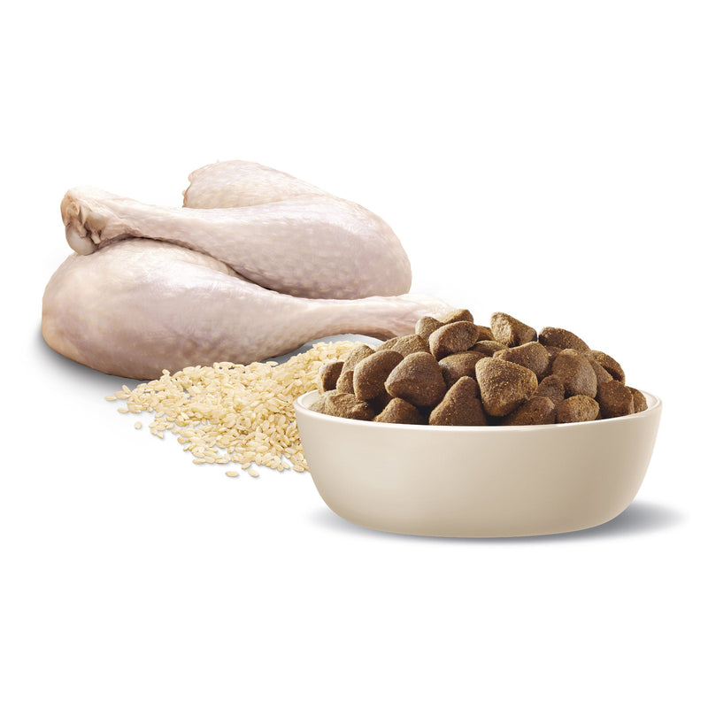 Advance Turkey and Rice Large Breed Adult Dog Dry Food 15kg :->>