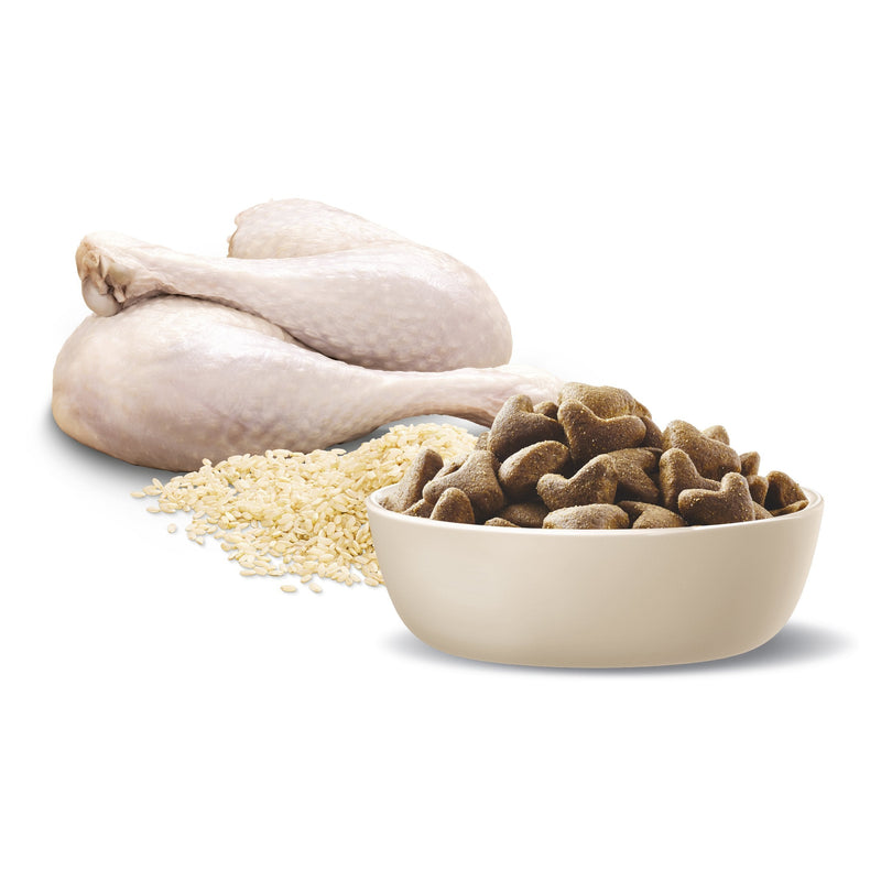 Advance Turkey and Rice Shepherds Adult Dog Dry Food 13kg (+_+)
