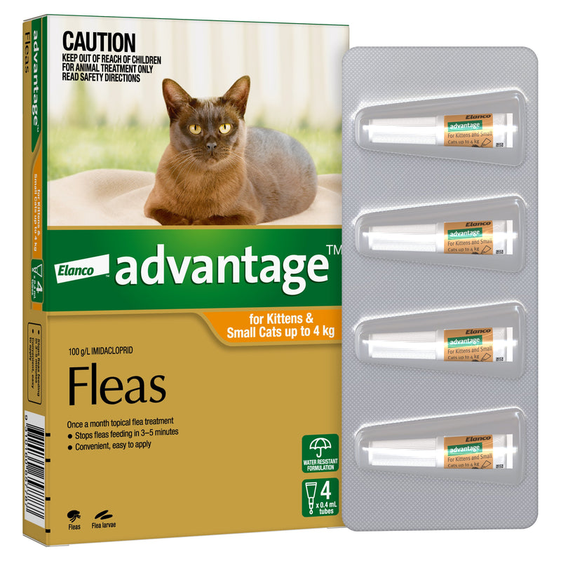 Advantage Flea Treatment for Cats 0-4kg Orange 4 Pack-Habitat Pet Supplies