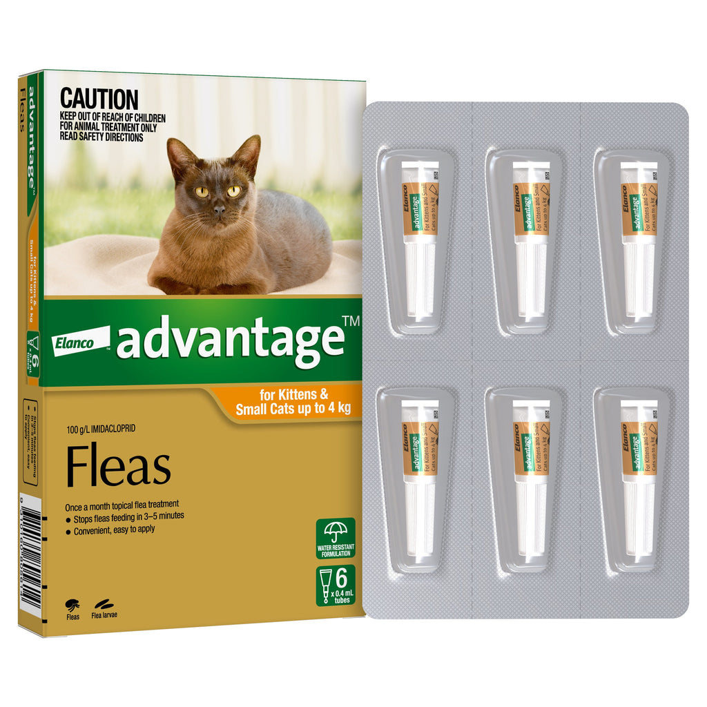Advantage Flea Treatment for Cats 0-4kg Orange 6 Pack-Habitat Pet Supplies