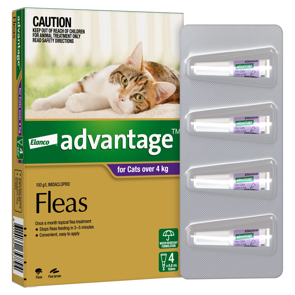 Advantage Flea Treatment for Cats 4kg Purple 4 Pack-Habitat Pet Supplies