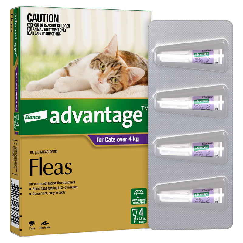 Advantage Flea Treatment for Cats 4kg Purple 4 Pack-Habitat Pet Supplies