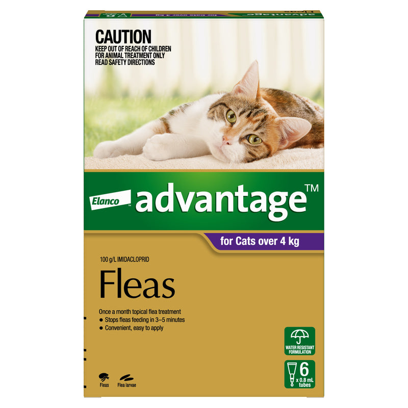 Advantage Flea Treatment for Cats 4kg Purple 6 Pack