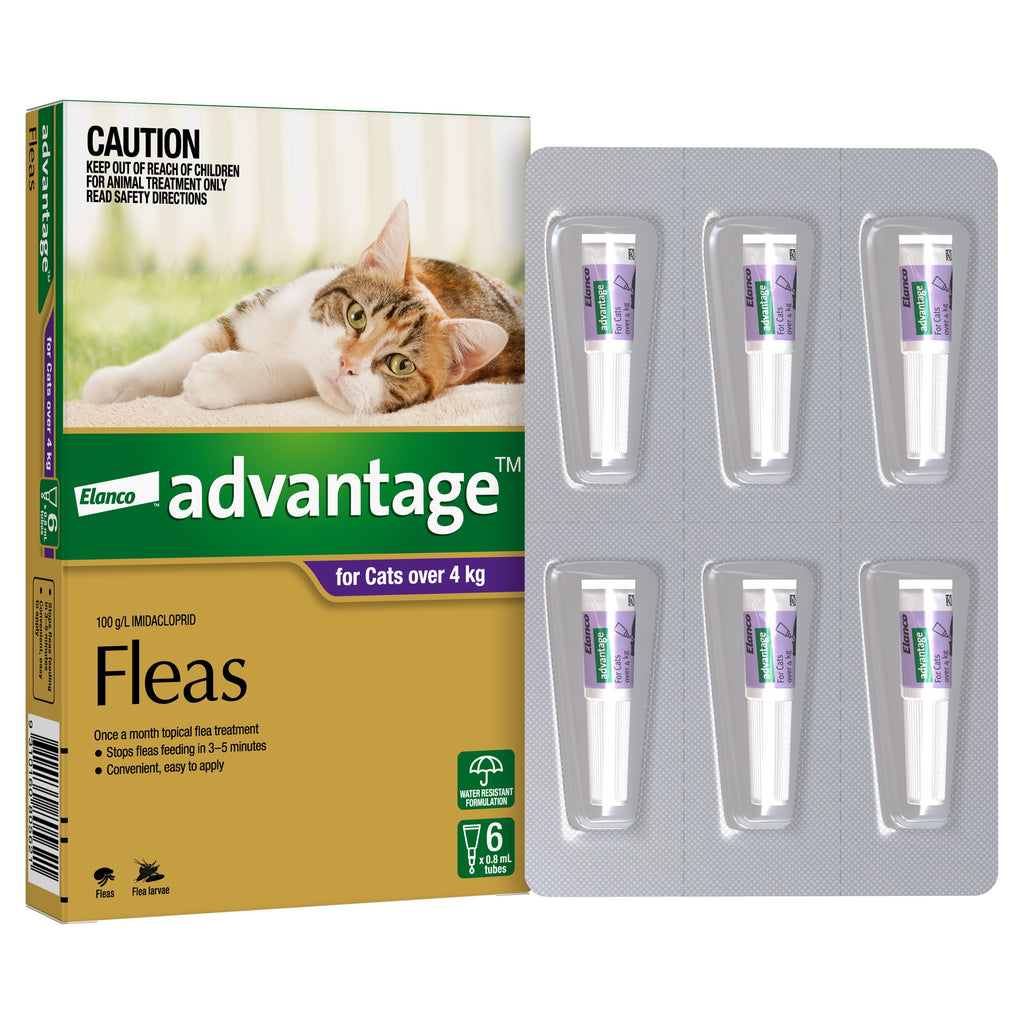 Advantage Flea Treatment for Cats 4kg Purple 6 Pack-Habitat Pet Supplies
