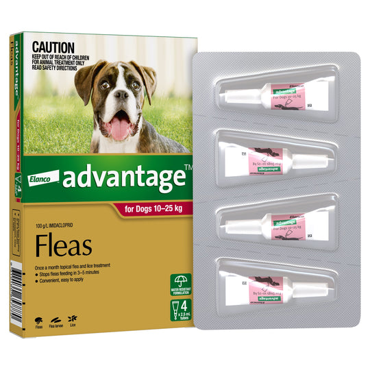 Advantage Flea Treatment for Dogs 10-25kg Red 4 Pack