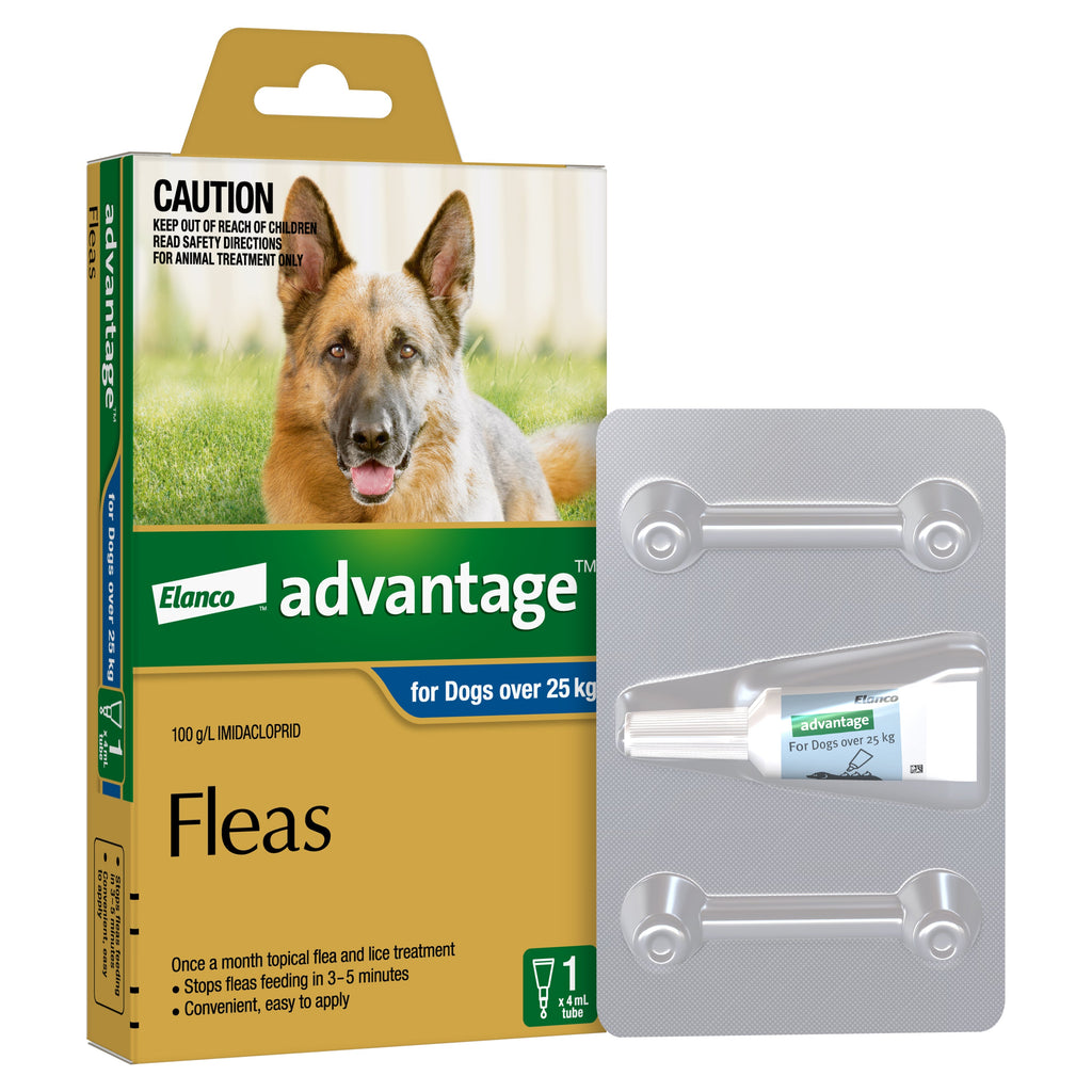 Advantage Flea Treatment for Dogs 25kg+ Blue 1 Pack-Habitat Pet Supplies