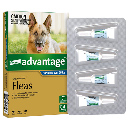 Advantage Flea Treatment for Dogs 25kg+ Blue 4 Pack
