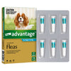 Advantage Flea Treatment for Dogs 4-10kg Aqua 6 Pack-Habitat Pet Supplies