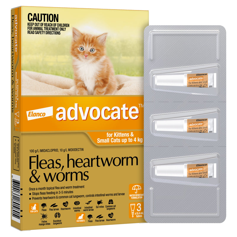 Advocate Flea Heartworm and Worm Treatment for Cats 0-4kg Orange 3 Pack-Habitat Pet Supplies