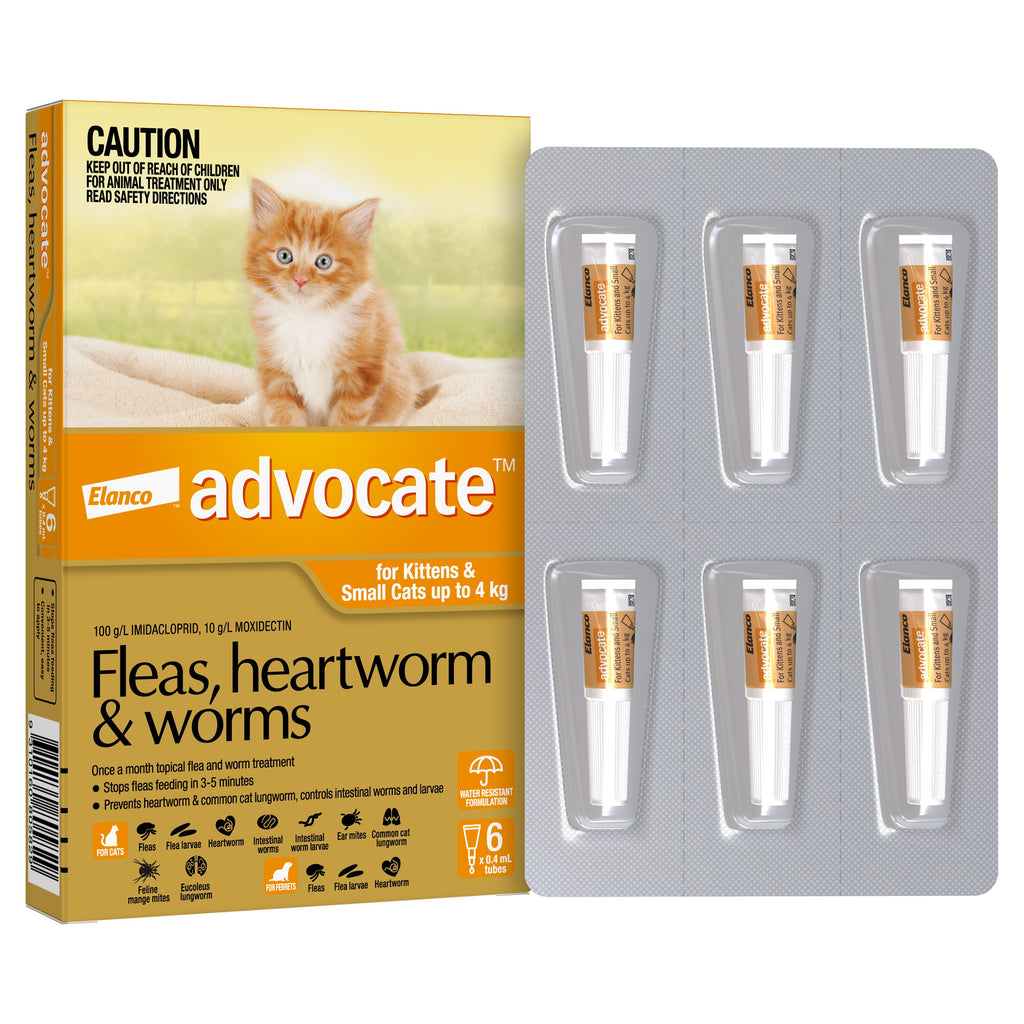 Advocate Flea Heartworm and Worm Treatment for Cats 0-4kg Orange 6 Pack-Habitat Pet Supplies