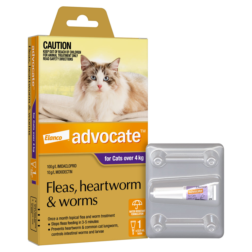 Advocate Flea Heartworm and Worm Treatment for Cats 4kg Purple 1 Pack-Habitat Pet Supplies