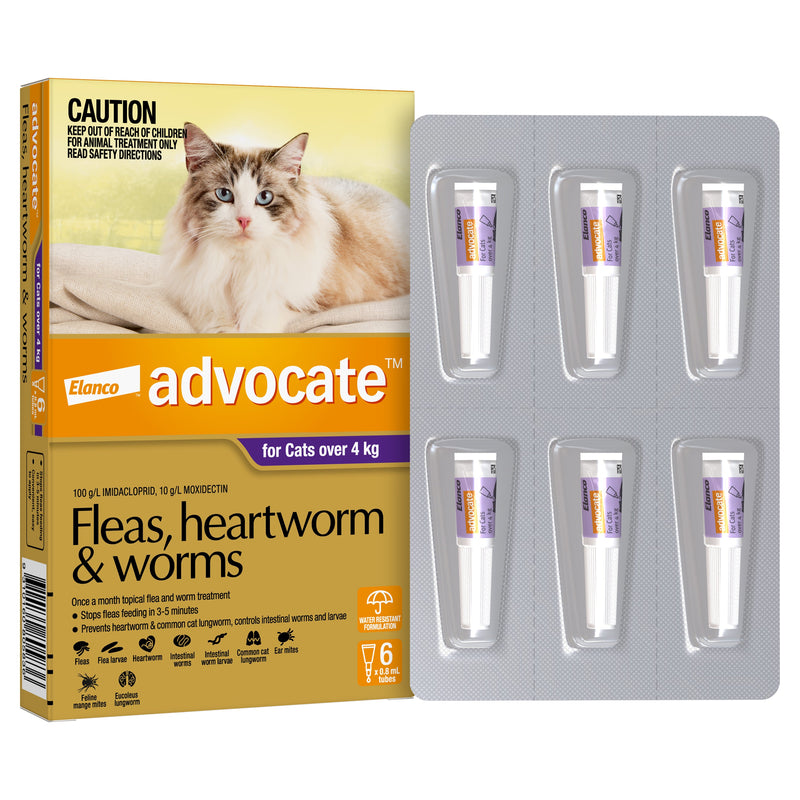 Advocate Flea Heartworm and Worm Treatment for Cats 4kg Purple 6 Pack-Habitat Pet Supplies