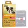 Advocate Flea Heartworm and Worm Treatment for Dogs 10-25kg Red 1 Pack-Habitat Pet Supplies