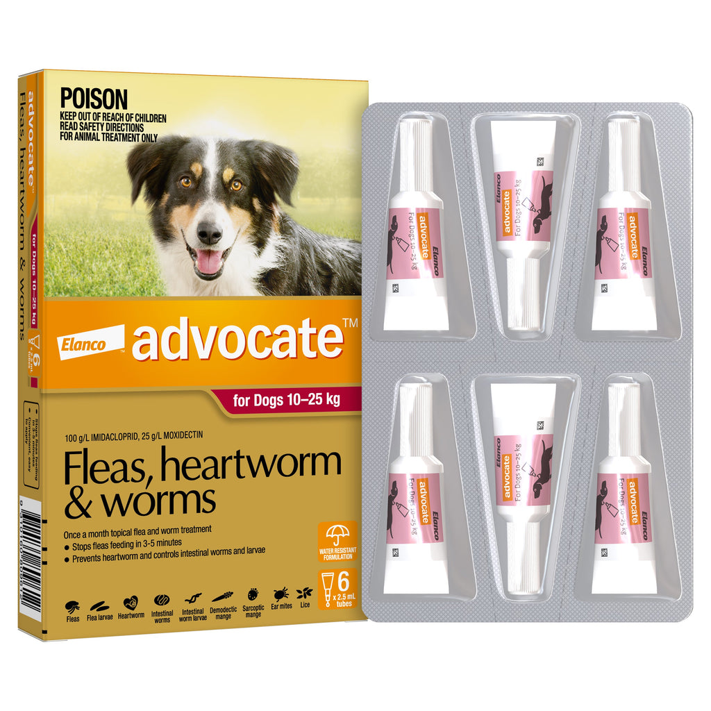 Advocate Flea Heartworm and Worm Treatment for Dogs 10-25kg Red 6 Pack-Habitat Pet Supplies