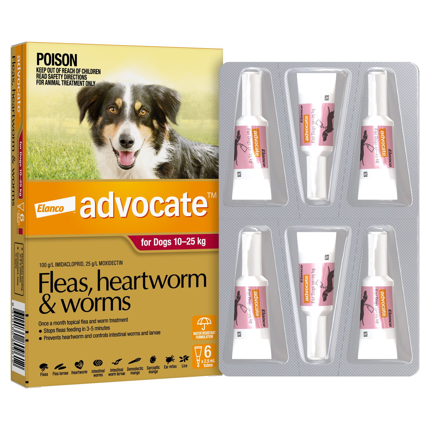 Flea Prevention Advocate Worm And Flea Treatment For Dogs Advocate