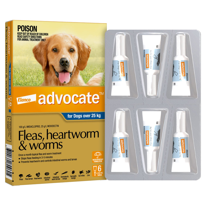 Advocate Flea Heartworm and Worm Treatment for Dogs 25kg Blue 6 Pack-Habitat Pet Supplies
