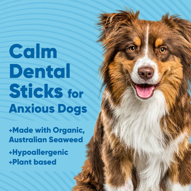 Anipal Calm Dental Sticks for Anxious Dog Treats 210g