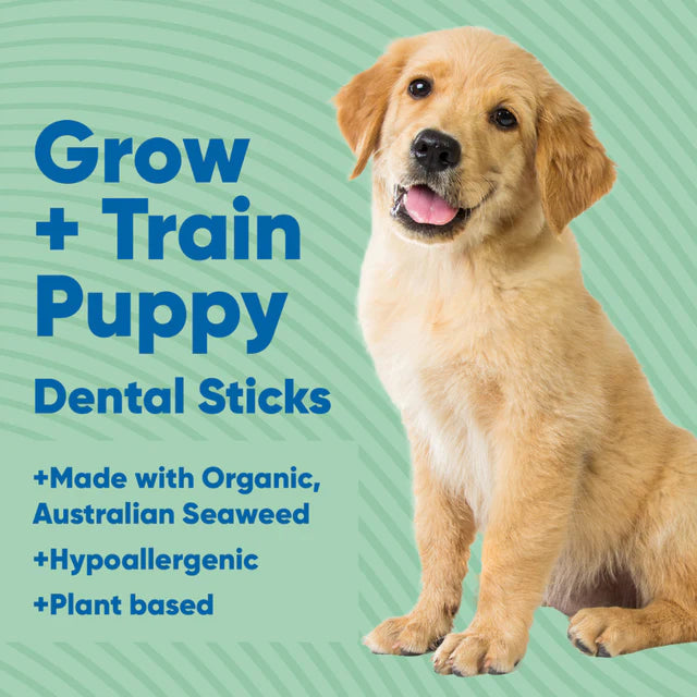 Anipal Grow and Train Puppy Dental Sticks Treat 160g
