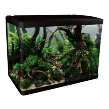 Aqua One Lifestyle Glass Aquarium 76L 60cm Gloss Black***-Habitat Pet Supplies