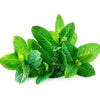 Bell and Bone Dental Sticks Chicken Mint and Seaweed for Large Dogs 231g (+_+)