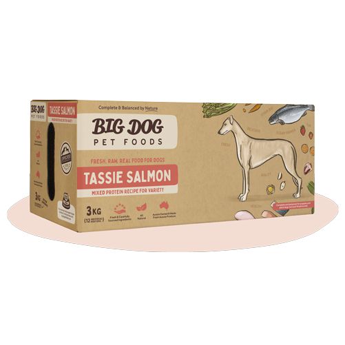 Big Dog BARF Tasmanian Salmon Raw Dog Food 3kg