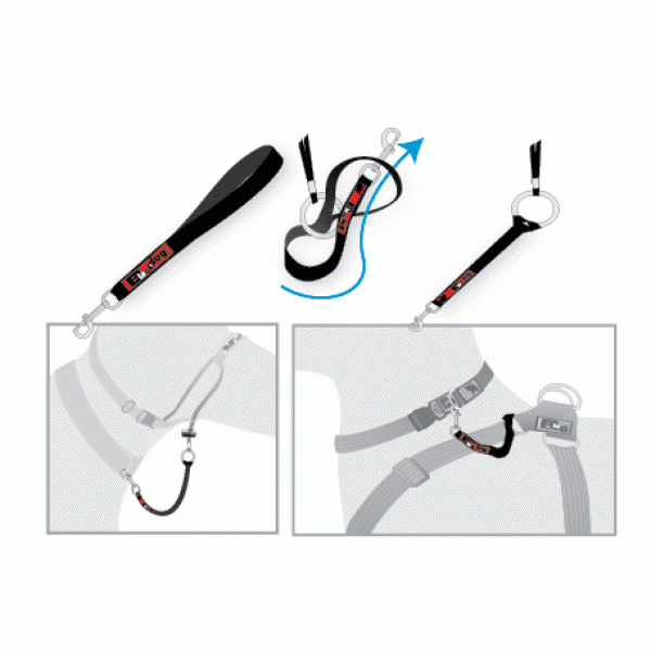 Black Dog Wear Halter Connector Regular
