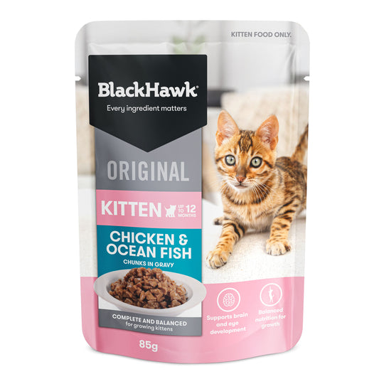 Black Hawk Chicken and Ocean Fish Kitten Wet Food 85g ^._.^
