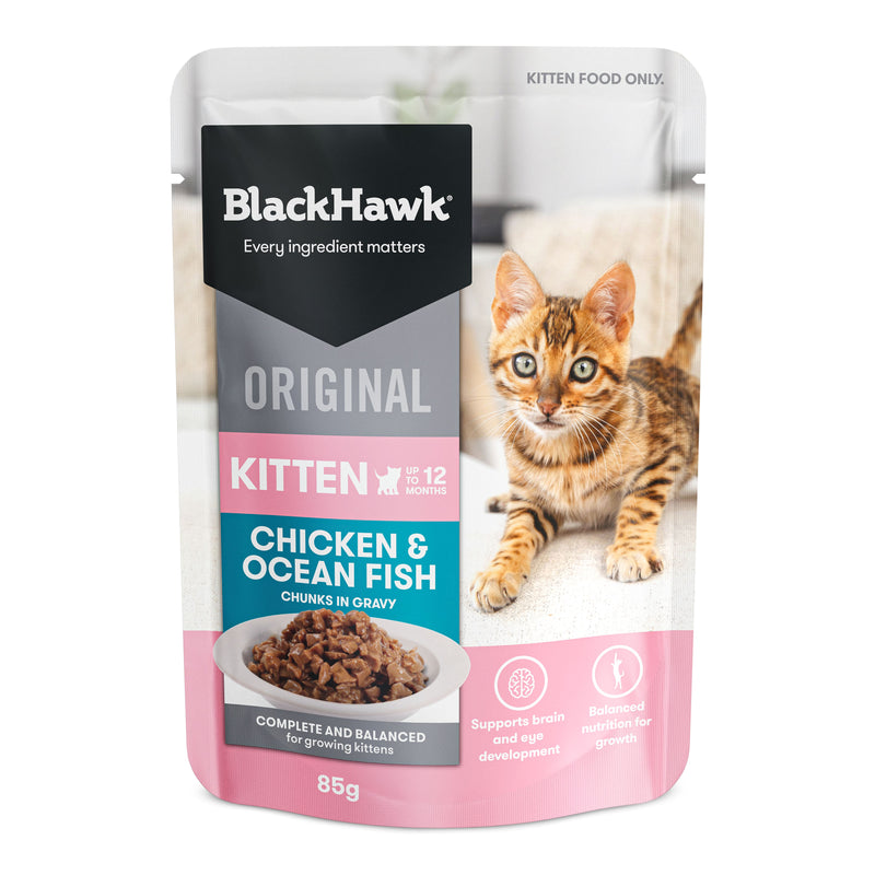 Black Hawk Chicken and Ocean Fish Kitten Wet Food 85g^^^-Habitat Pet Supplies