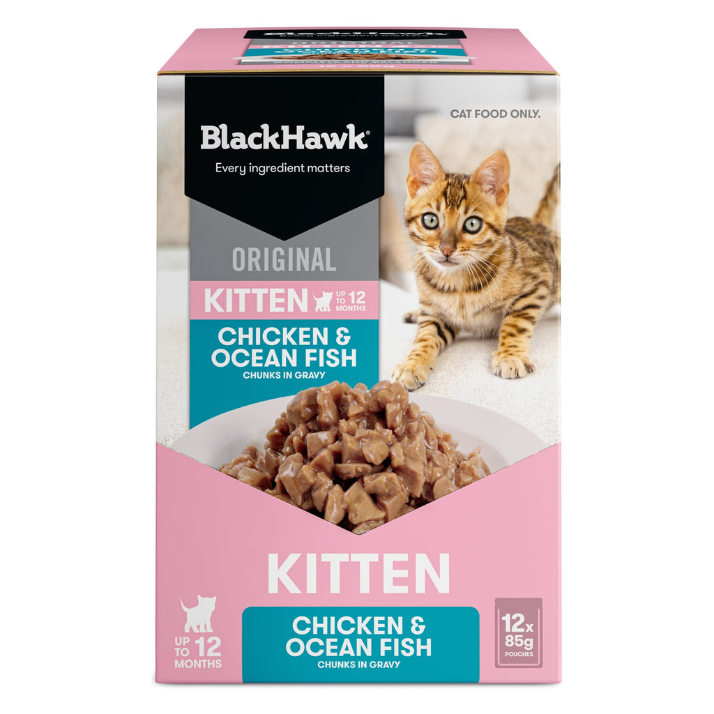 Black Hawk Chicken and Ocean Fish Kitten Wet Food 85gx12