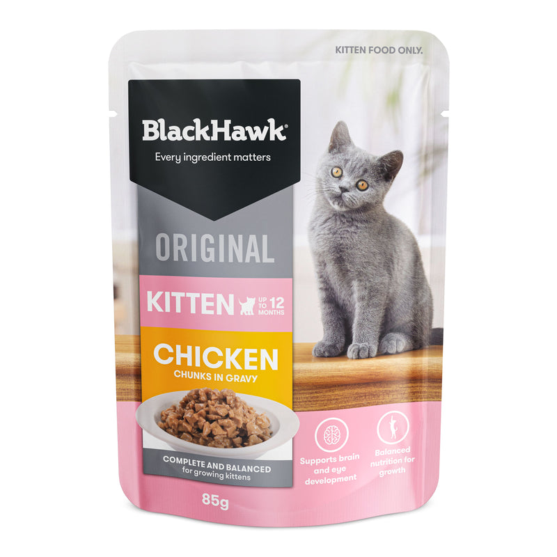 Black Hawk Chicken in Gravy Kitten Wet Food 85gx12