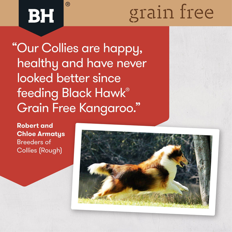 Black Hawk Grain Free Wild Kangaroo Dry Dog Food 15kg