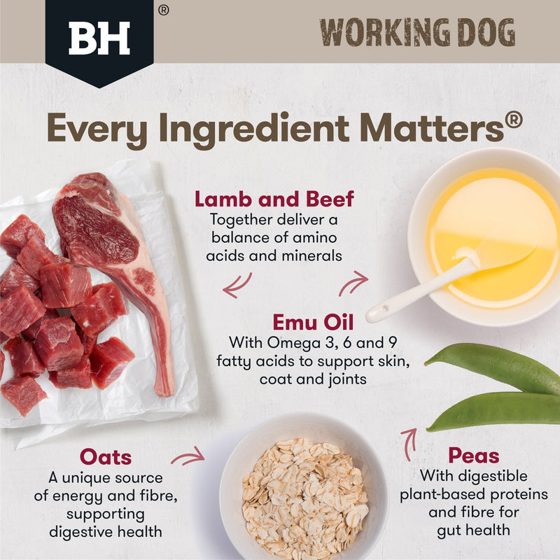 Black Hawk Original Lamb and Beef Working Dog Dry Dog Food 20kg