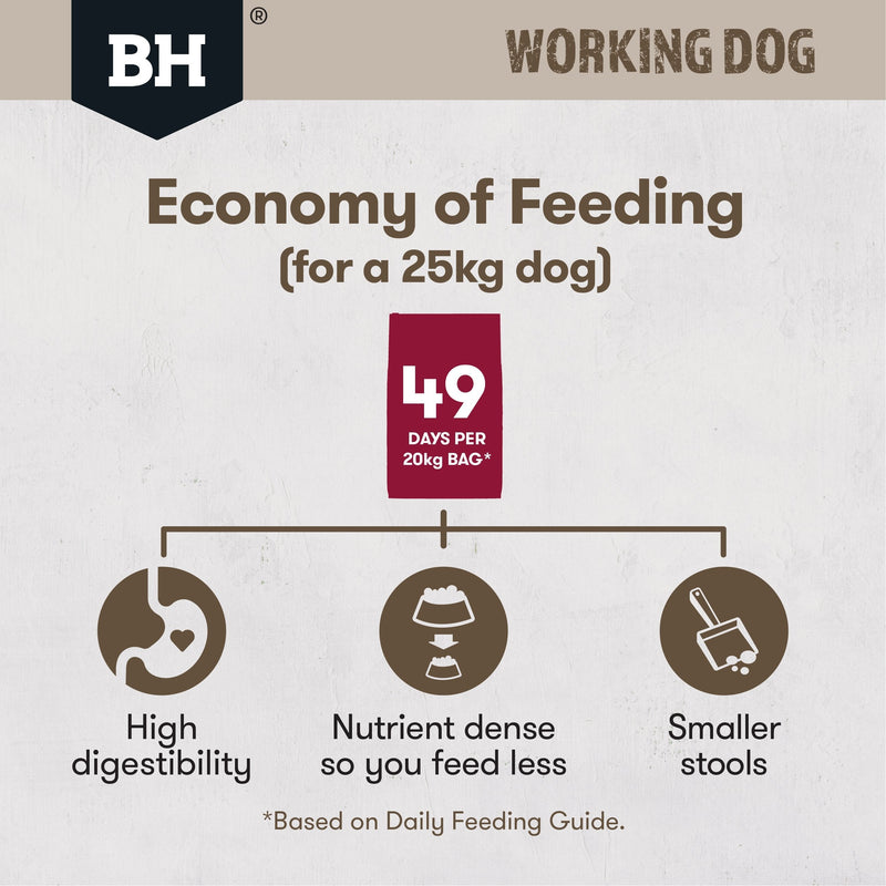 Black Hawk Original Lamb and Beef Working Dog Dry Dog Food 20kg