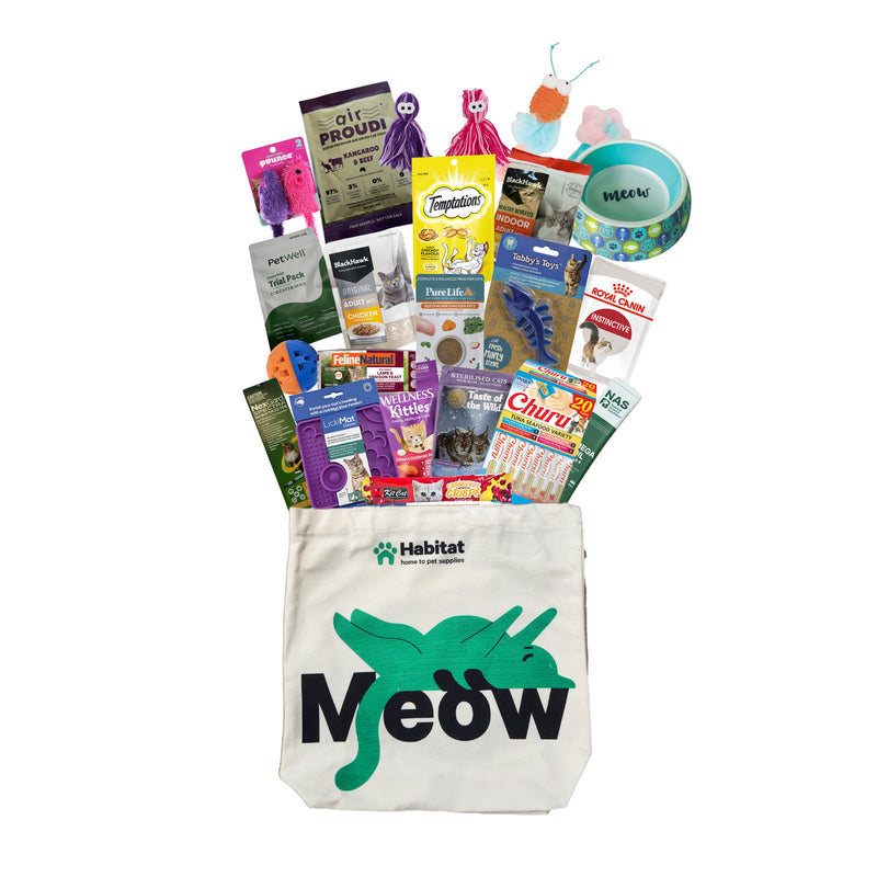 2026 Best in Show Bag for Cats