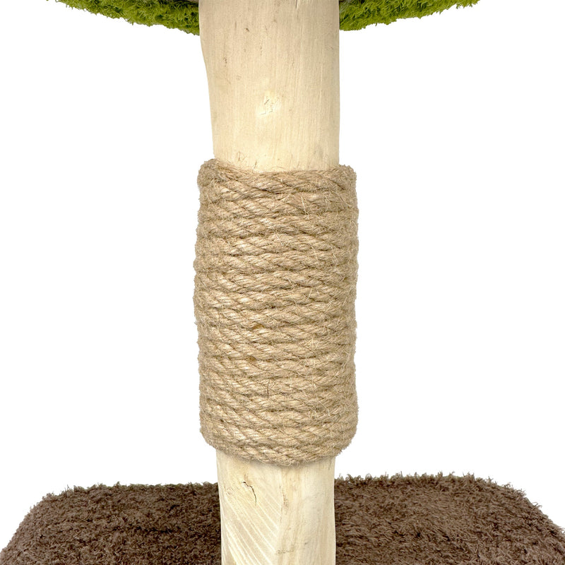 Cattitude Treemendous Cat Scratching Post (+_+)