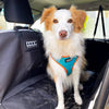 DOOG Neoflex Neoprene Beethoven Neon Blue and Orange Dog Harness Extra Large (+_+)