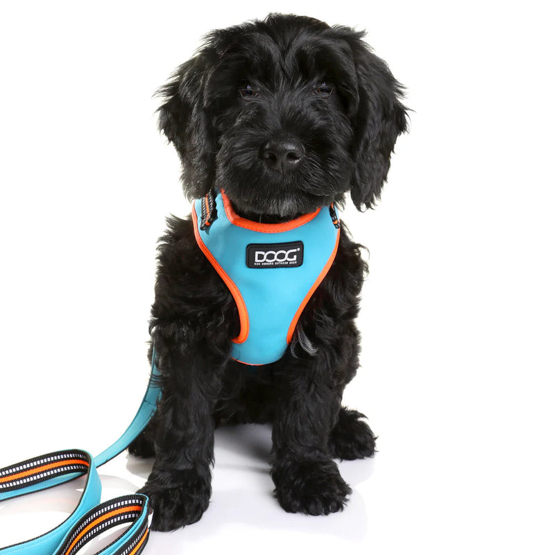 DOOG Neoflex Neoprene Beethoven Neon Blue and Orange Dog Harness Extra Small (+_+)