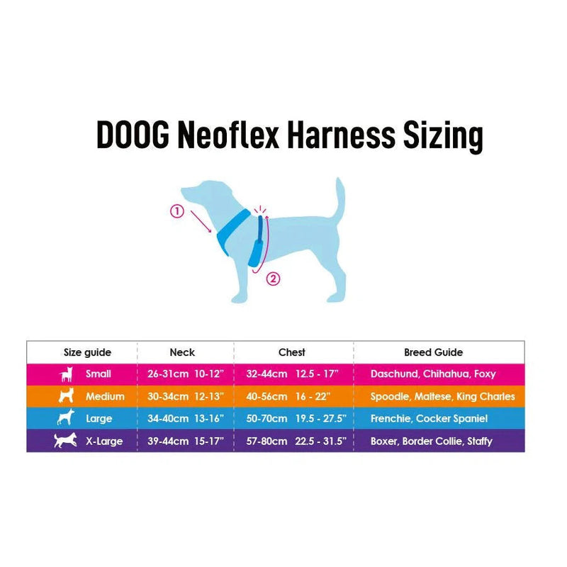 DOOG Neoflex Neoprene Beethoven Neon Blue and Orange Dog Harness Extra Small (+_+)