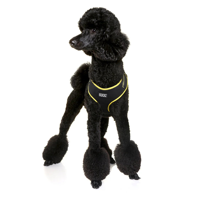 DOOG Neoflex Neoprene Bolt Neon Black and Yellow Dog Harness Large (+_+)